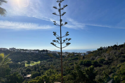 3d47d9c266a158f6e2393d37aae5066e - 34