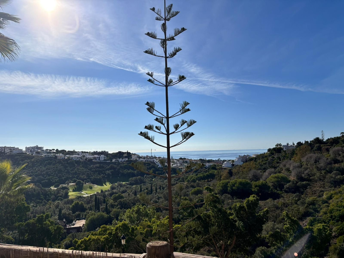 3d47d9c266a158f6e2393d37aae5066e - 34