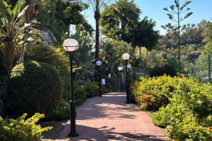 3d47d9c266a158f6e2393d37aae5066e - 35