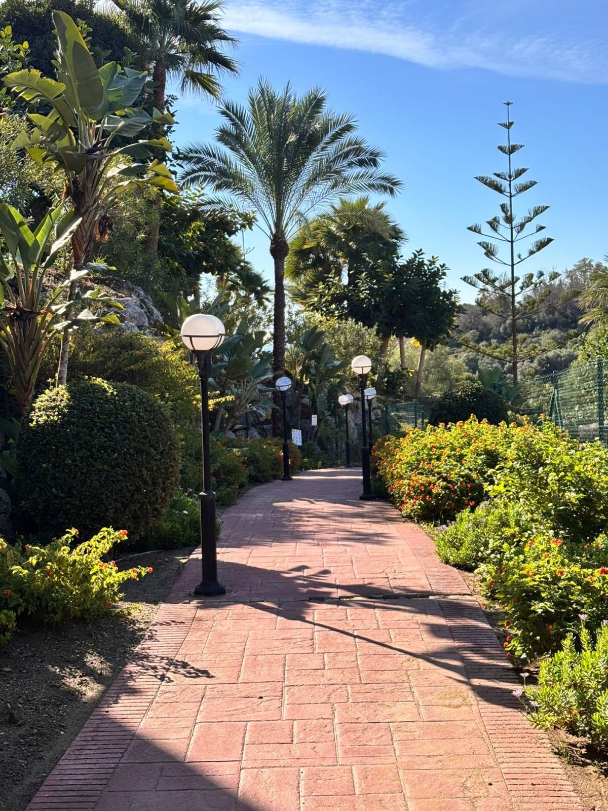 3d47d9c266a158f6e2393d37aae5066e - 35