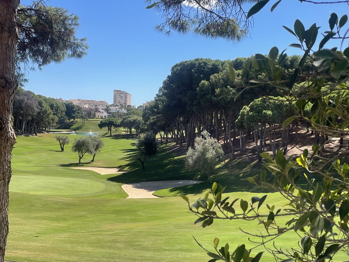 3f6ce04bef89b0f8065cb7f86306e745 - 35