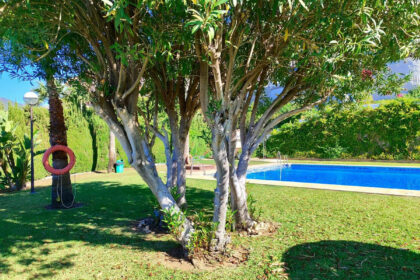 40661b1f0910145d6eca4d0512dd062b - 55