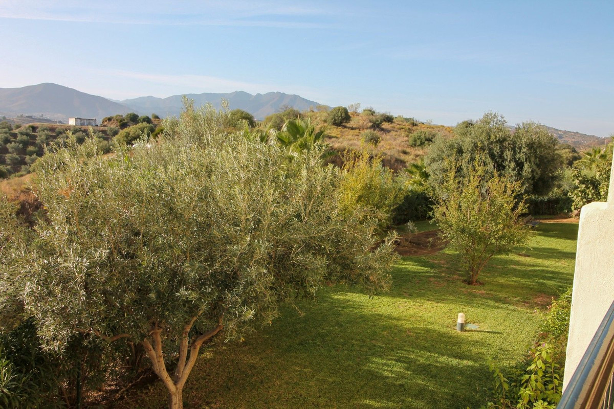 4123e2edcf0f6389ca8262982858b729 - 6