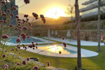 41ea0f3361cb5f335f9fe3460378d894 - 3