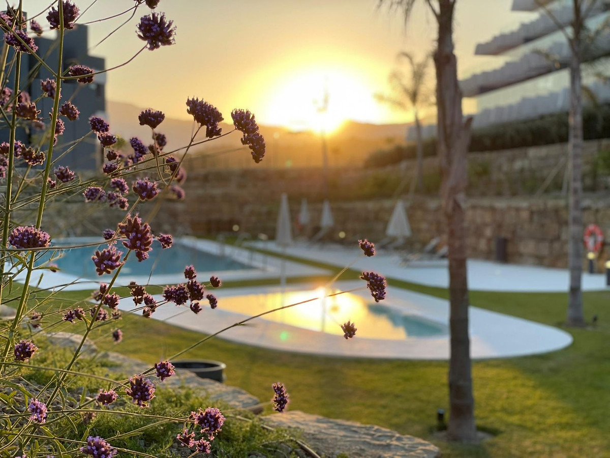 41ea0f3361cb5f335f9fe3460378d894 - 3