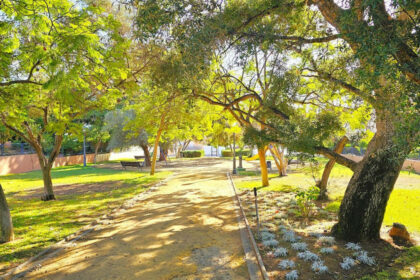 4279792802658ad6375b47905e711ba0 - 23