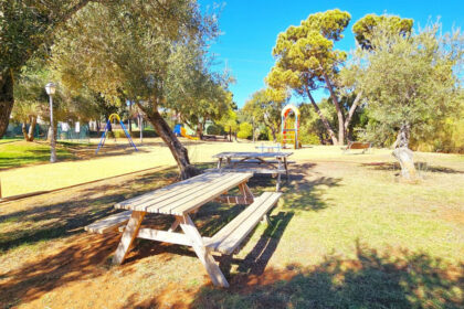 4279792802658ad6375b47905e711ba0 - 34