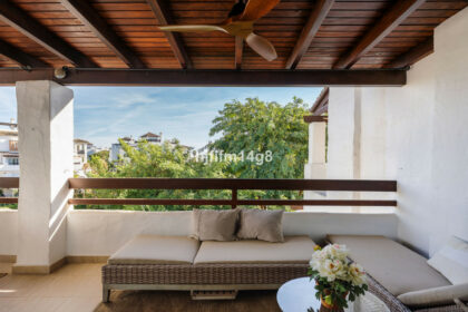 43a5dfe9a496d3e98fcc7e6485a7be7e - 24