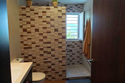 43ea2e881915fb7286ccd05cad988509 - 17