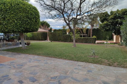 43ea2e881915fb7286ccd05cad988509 - 29