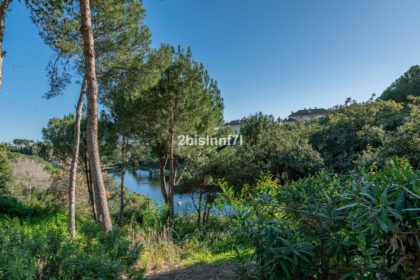 449a584c16a76941edd3095abdda5802 - 31