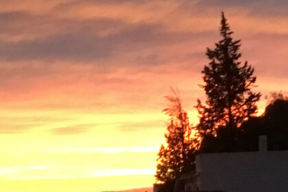 44d7c0a98ec3aefcbfe08ee0189b23f8 - 41