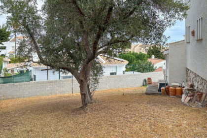 46020697c00fbb466743ba966328afd1 - 31