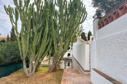 46020697c00fbb466743ba966328afd1 - 35