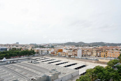 481041b7e04ebb78394aa053a1e47f1a - 24