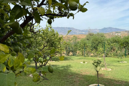 4820e3f537fcb7ee7ebbe353943f3725 - 24