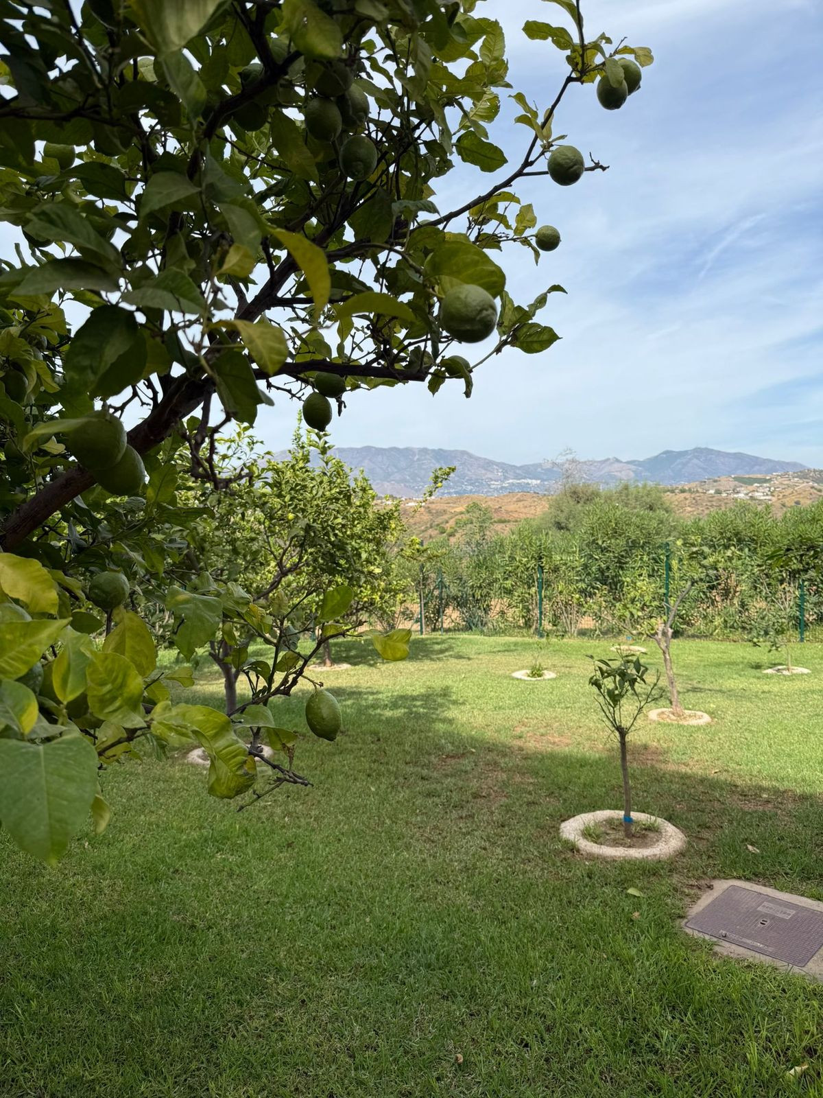 4820e3f537fcb7ee7ebbe353943f3725 - 24