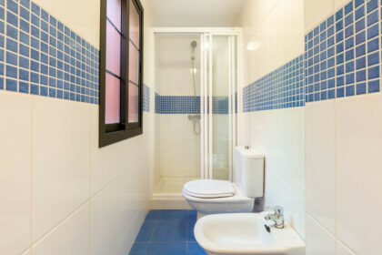 483a2a93ec4eccc5c12016d516d22aa5 - 12