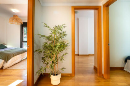 483a2a93ec4eccc5c12016d516d22aa5 - 6