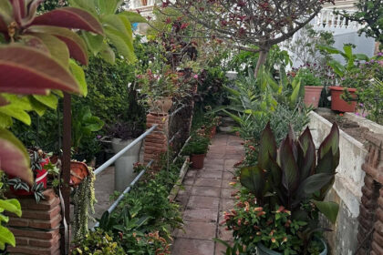 492aa7b15125d457b7fe1ef612c16872 - 21