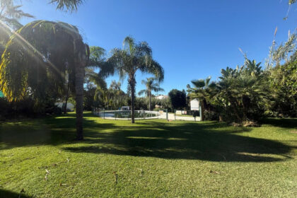 49bfe40e3d2bf2e33408d8110265eb33 - 31