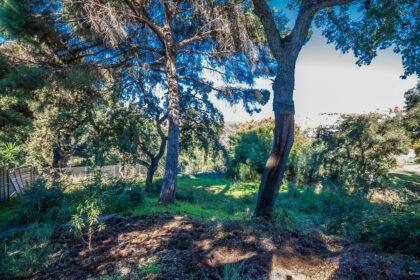 4c449977059434986514622f28c4d669 - 14