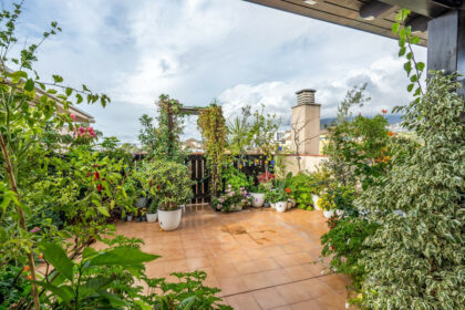 4f3a56dcb3eaea351297322ffa7a5b39 - 1