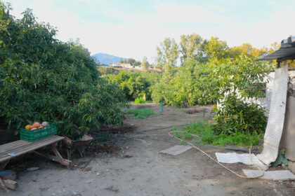 501a46b58579b7e87a9b5f4d06066f20 - 20