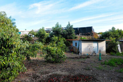 501a46b58579b7e87a9b5f4d06066f20 - 21