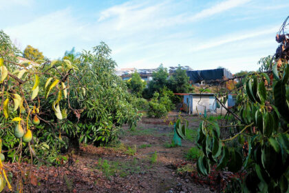 501a46b58579b7e87a9b5f4d06066f20 - 22