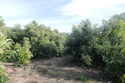 501a46b58579b7e87a9b5f4d06066f20 - 23