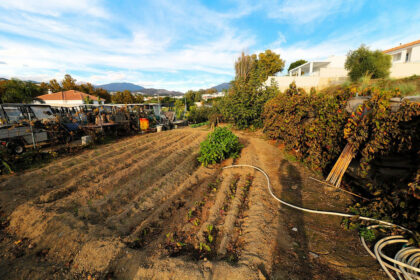 501a46b58579b7e87a9b5f4d06066f20 - 25