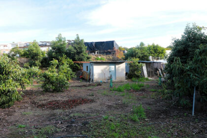 501a46b58579b7e87a9b5f4d06066f20 - 26