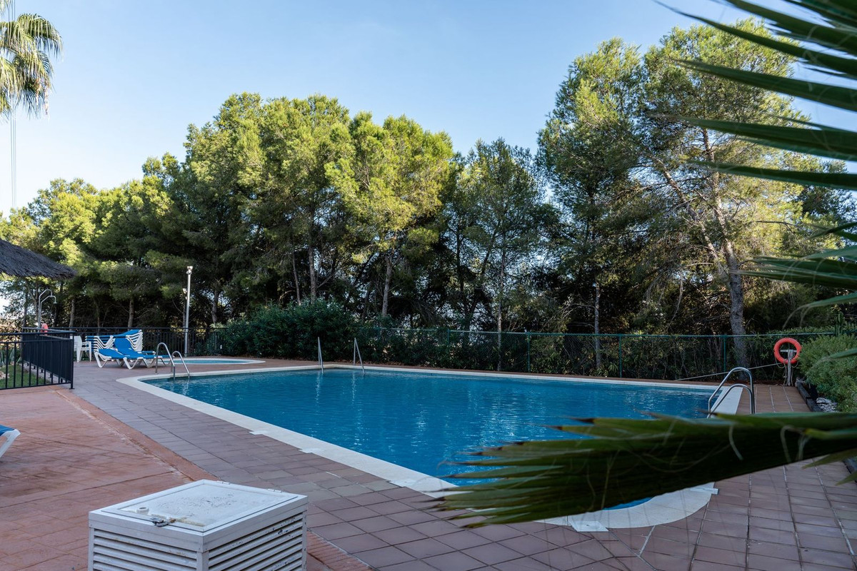 504c7e873c249507dafaab80622370fd - 31