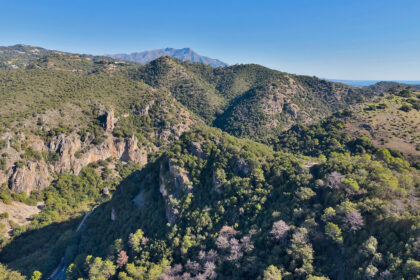 51c68d176c707a1d631b3f6f205c1ed1 - 50