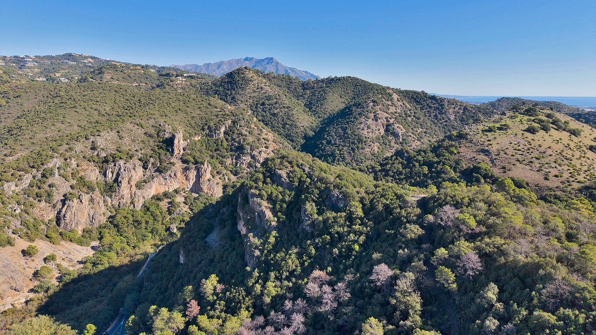 51c68d176c707a1d631b3f6f205c1ed1 - 50