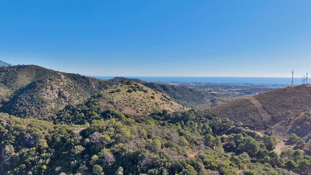 51c68d176c707a1d631b3f6f205c1ed1 - 51