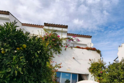 51c99fd9383e9ff582902557b4866832 - 13