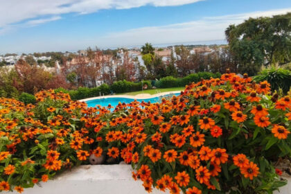 51c99fd9383e9ff582902557b4866832 - 14