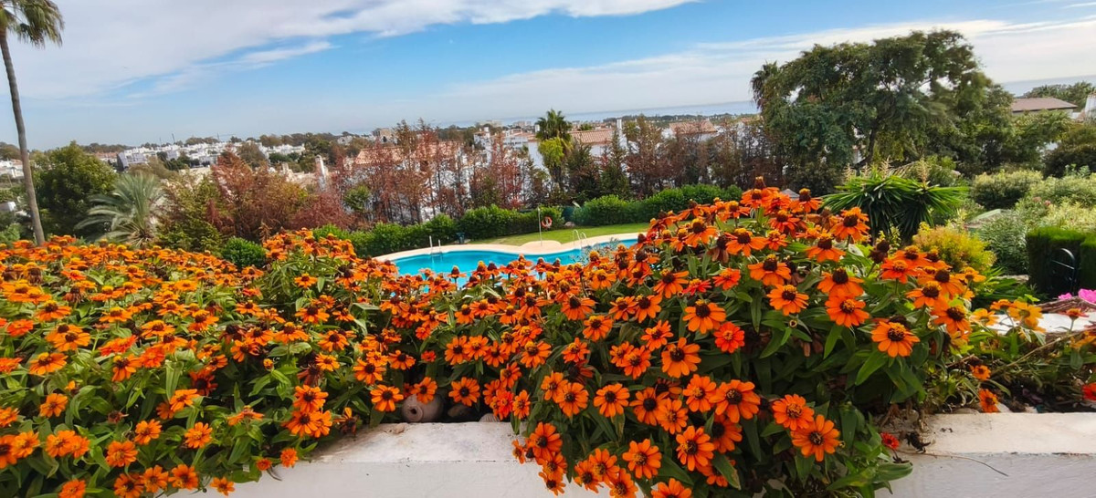 51c99fd9383e9ff582902557b4866832 - 14