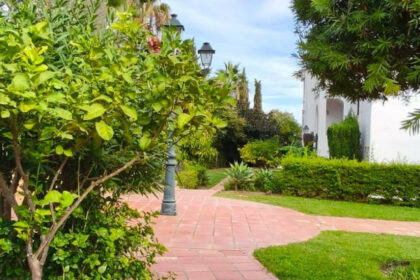 51c99fd9383e9ff582902557b4866832 - 17