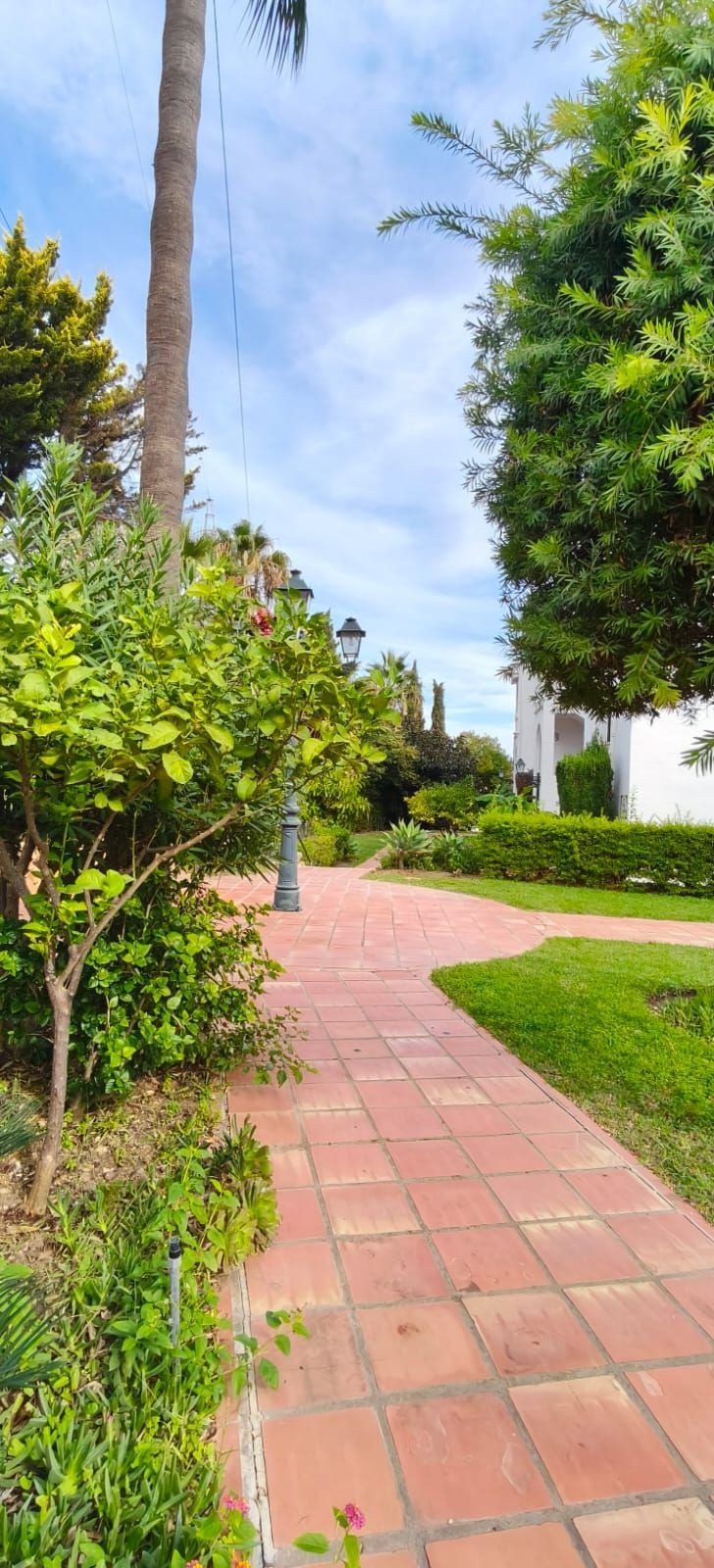 51c99fd9383e9ff582902557b4866832 - 17