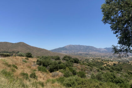 52edc9c0fa4f179386b17aed3c965994 - 31