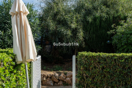 532a392922fb125b4ae6ca2a4b722fd6 - 24