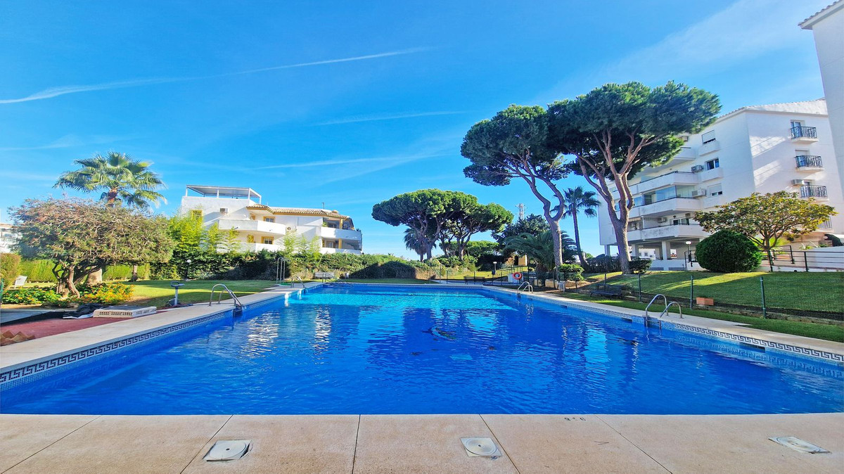 53b6a94c1b66a2a72204f22445023909 - 26