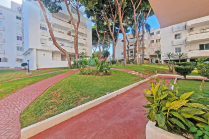 53b6a94c1b66a2a72204f22445023909 - 35