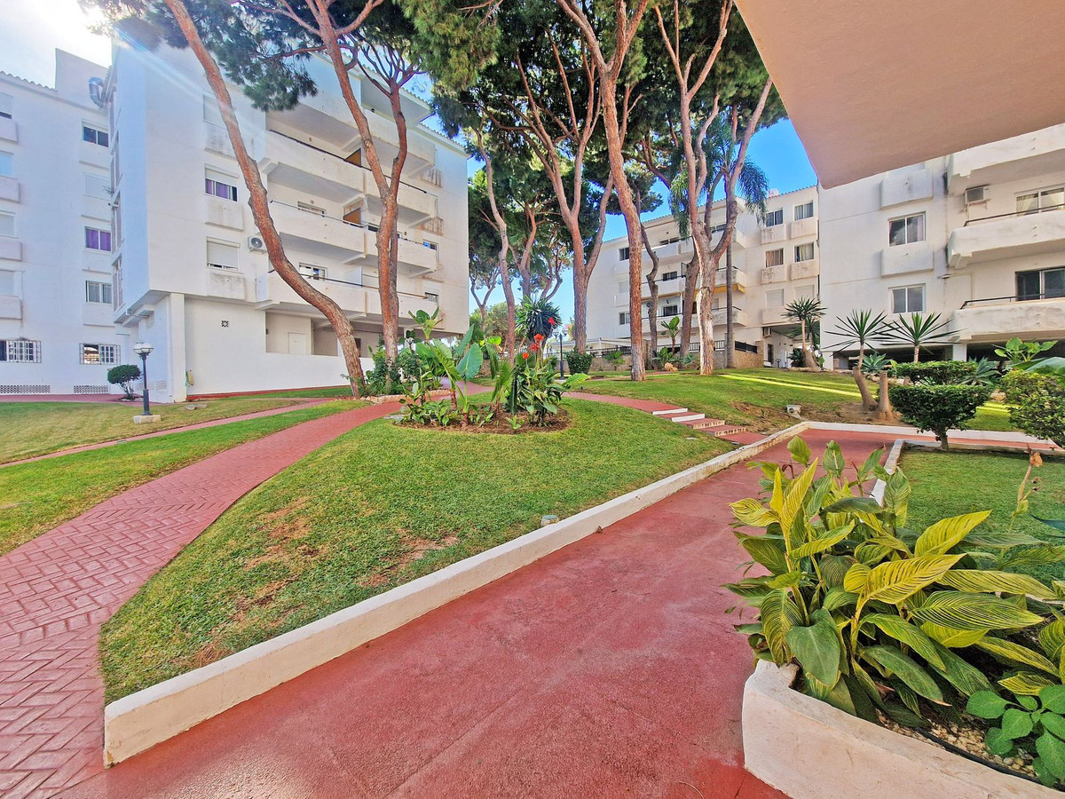 53b6a94c1b66a2a72204f22445023909 - 35