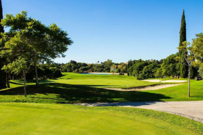 53d37263fc77f4293226585aa7deb8e8 - 4