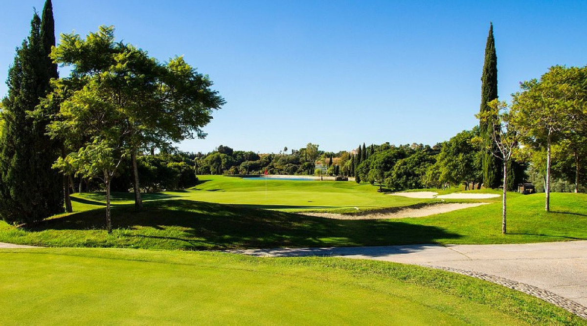 53d37263fc77f4293226585aa7deb8e8 - 4