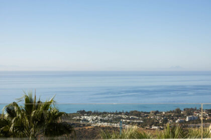 557c2234183a16f13d66288ea2604d26 - 42